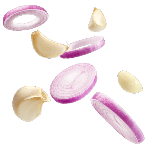 Sandwich fait maison distribution