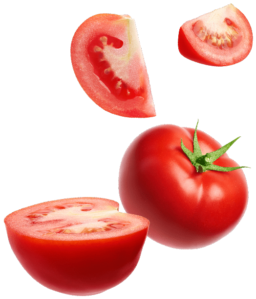 Sandwich fait maison distribution