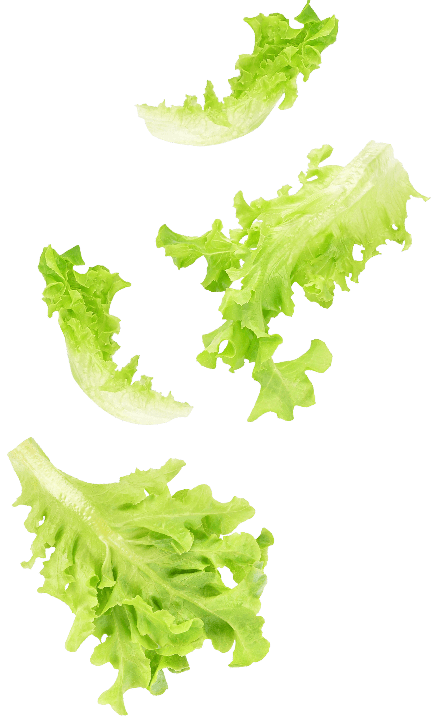 Sandwich fait maison distribution